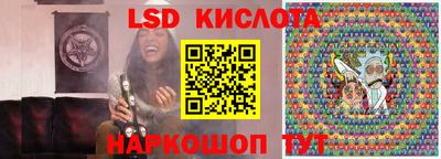 стаф Шелехов