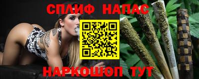 стаф Шелехов