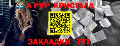 стаф Шелехов