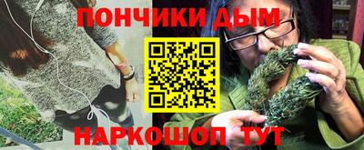 стаф Шелехов