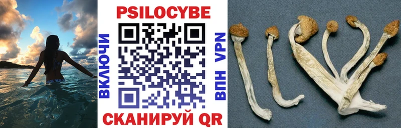 где продают наркотики  Темрюк  Псилоцибиновые грибы мухоморы 