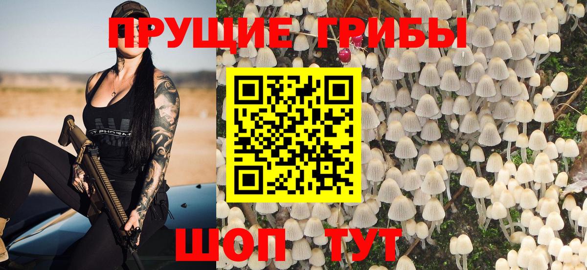 Псилоцибиновые грибы Psilocybine cubensis  Вход с VPN  купить   Темрюк 